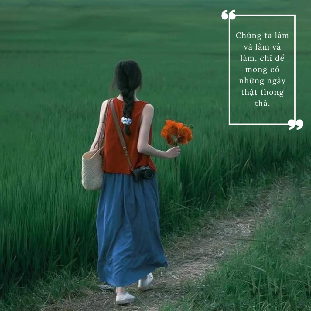 Mục tiêu nghề nghiệp